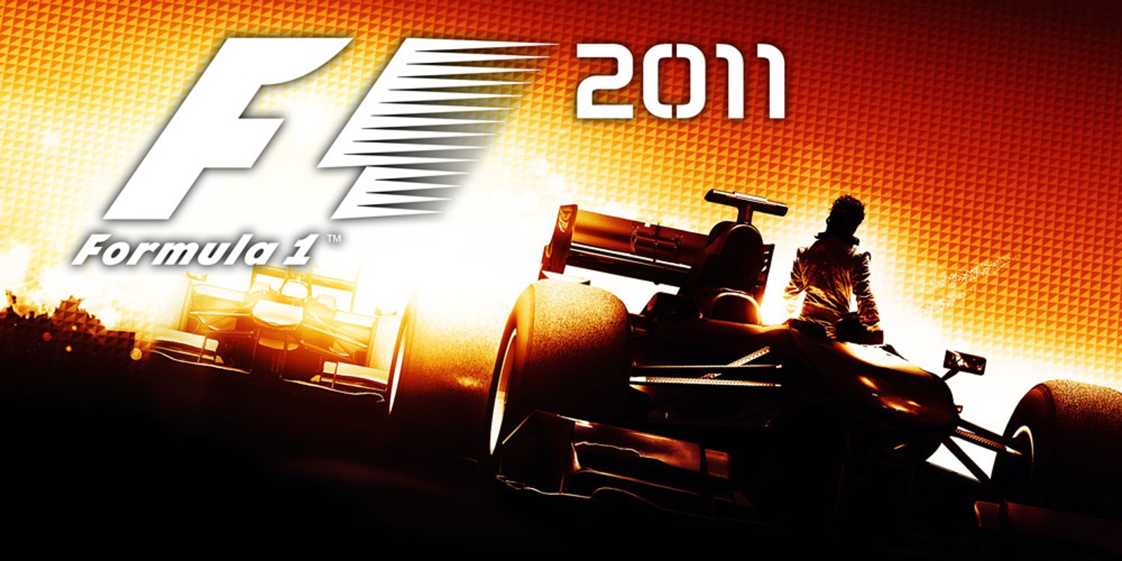 F1 2011™