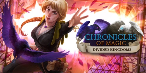 Chronicles of Magic: Divided Kingdoms switch box art