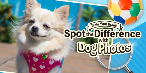 Train Your Brain! Spot the Difference with Dog Photos switch box art