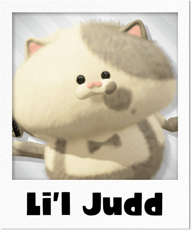 Li'l Judd