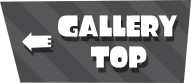 GALLERY TOP