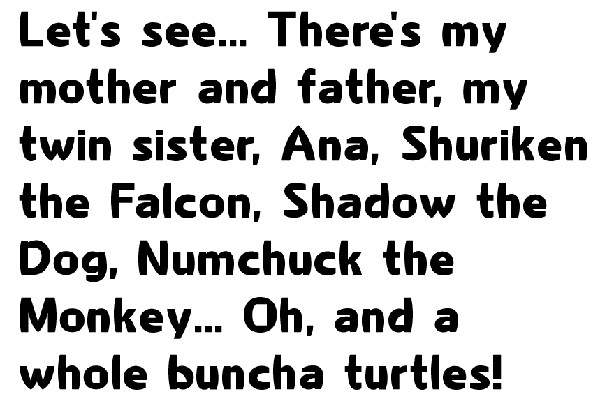 Let's see... There's my mother and father, my twin sister, Ana, Shuriken the Falcon, Shadow the Dog, Numchuck the Monkey... Oh, and a whole buncha turtles!