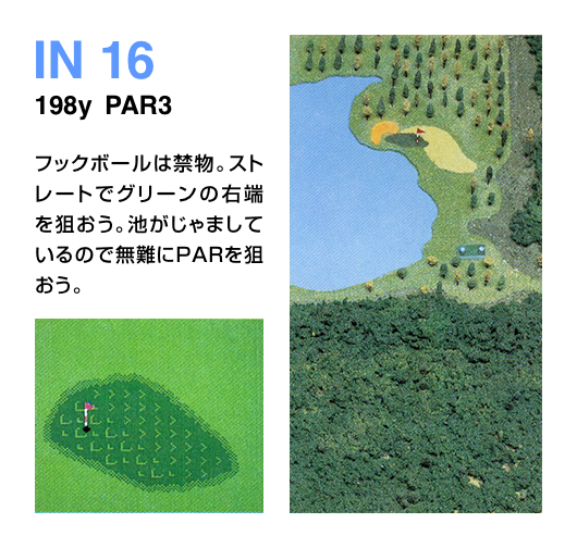 IN 16 198y  PAR3 フックボールは禁物。ストレートでグリーンの右端を狙おう。池がじゃましているので無難にPARを狙おう。
