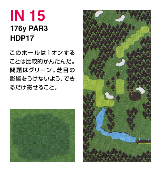IN 15 176y PAR3 HDP17 このホールは1オンすることは比較的かんたんだ。問題はグリーン。芝目の影響をうけないよう、できるだけ寄せること。