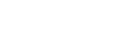 ランキング TOP100