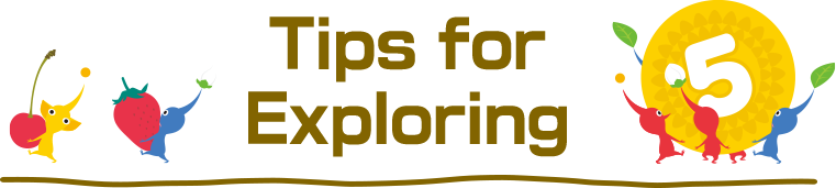 Tips for Exploring