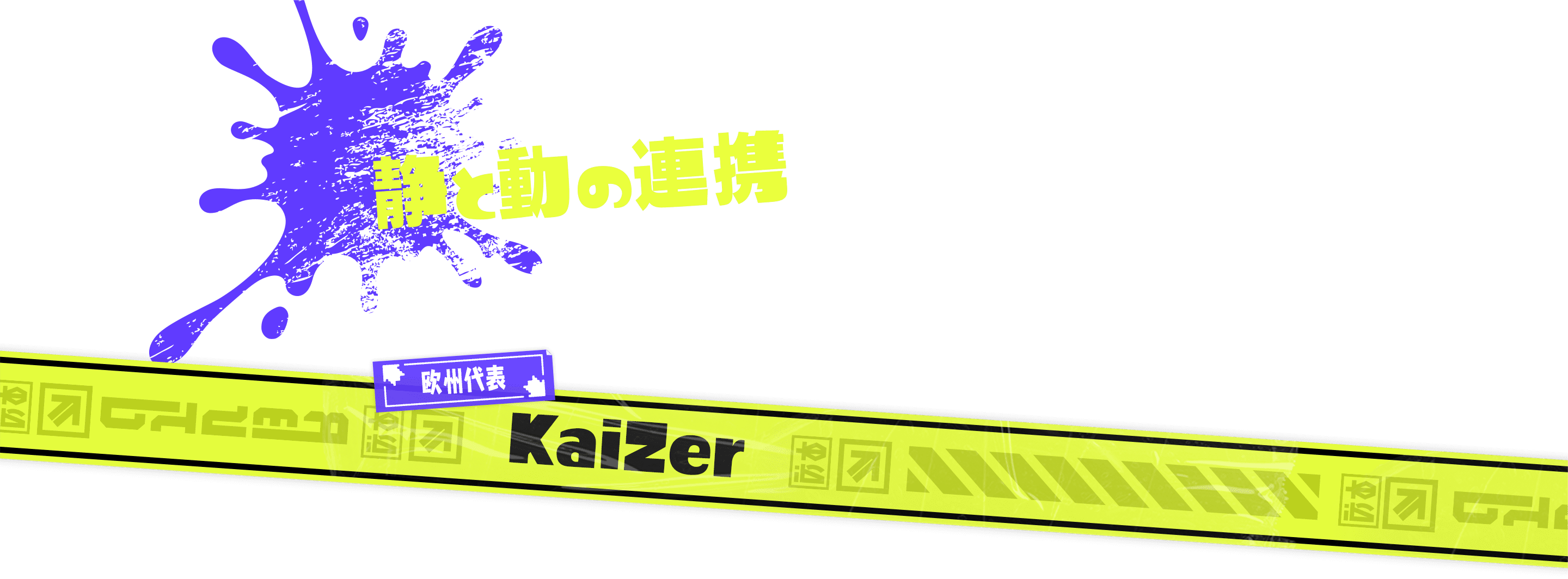 静と動の連携 欧州代表 KaiZer