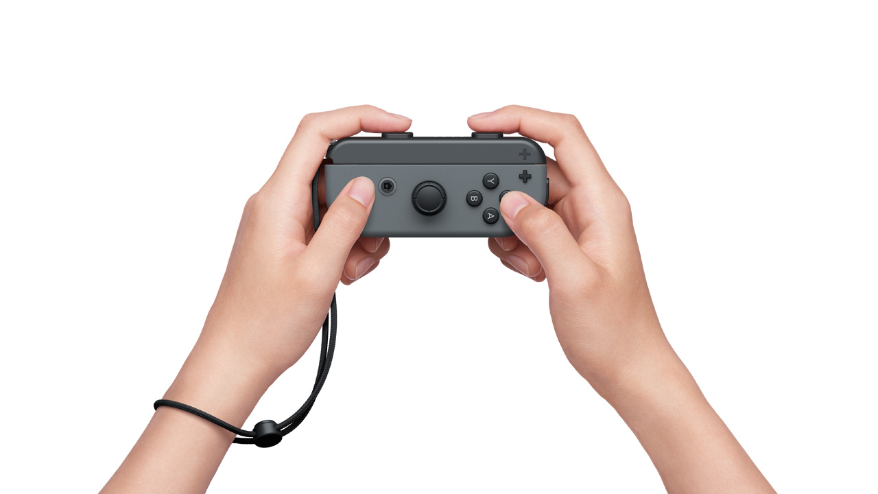 A Joy-Con (L), held horizontally with both hands
