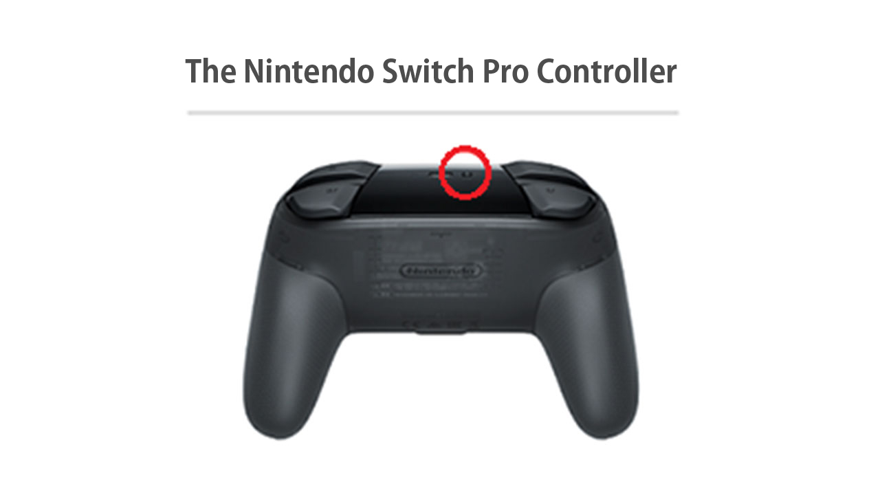 Hold the SYNC Button on the Nintendo Switch Pro Controller you'd like to pair.