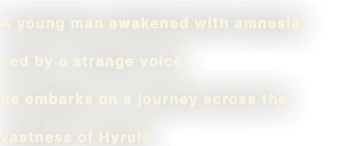 A young man awakened with amnesia. Led by a strange voice, he embarks on a journey across the vastness of Hyrule.
