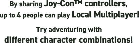 By sharing Joy-Con™ controllers, up to 4 people can play Local Multiplayer! Try adventuring with different character combinations! 