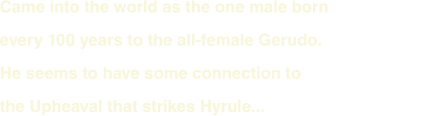 Came into the world as the one male born every 100 years to the all-female Gerudo. He seems to have some connection to the Upheaval that strikes Hyrule...