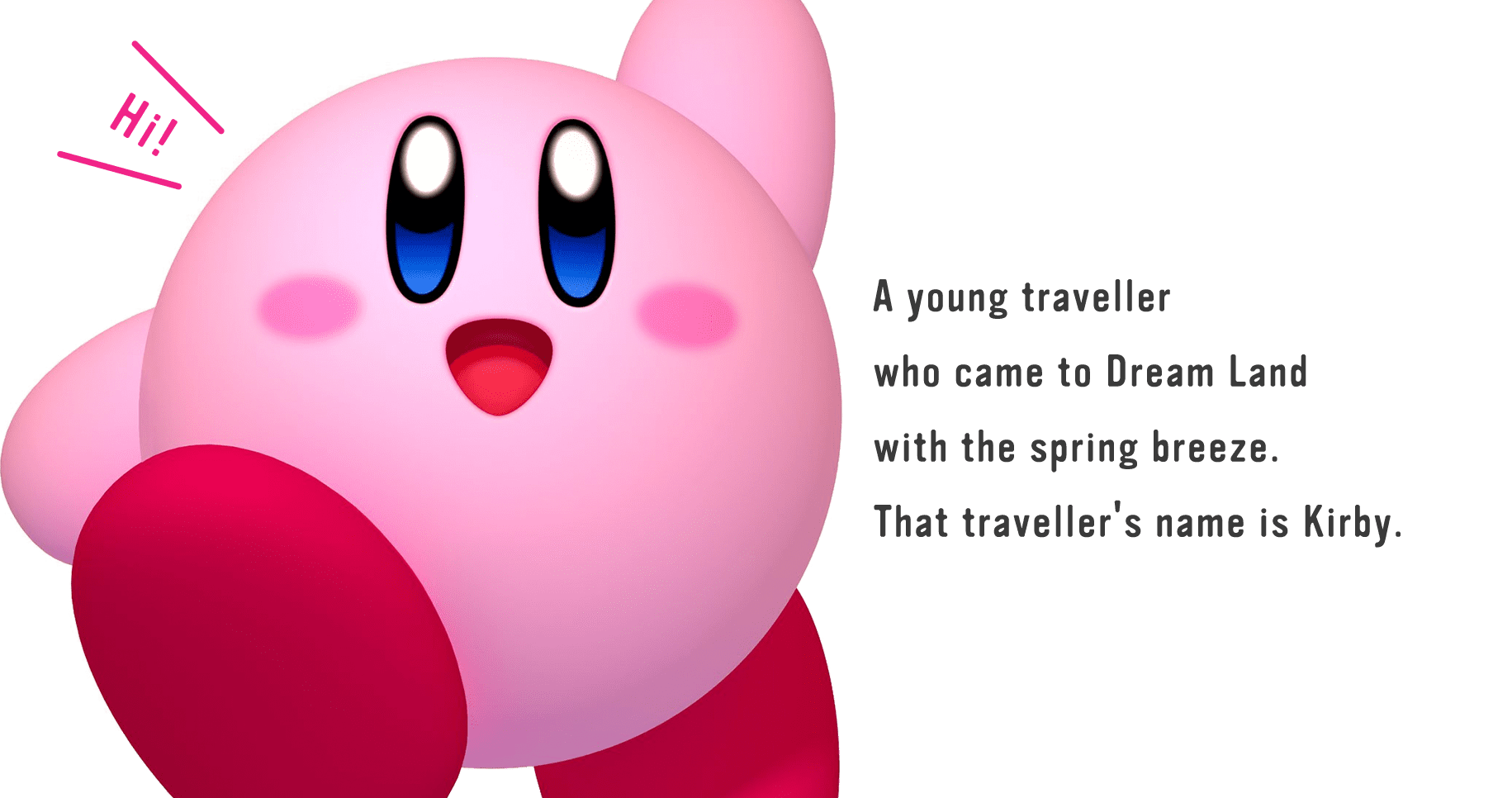 A young traveller who came to Dream Land with the spring breeze. That traveller's name is Kirby.