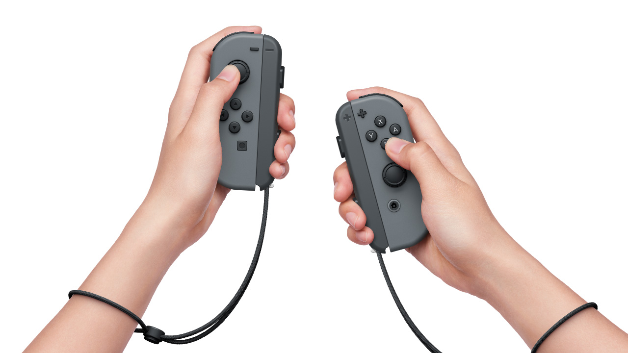 Two Joy-Con controllers, both held vertically