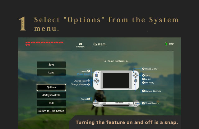 1. Select "Options" from the System menu.