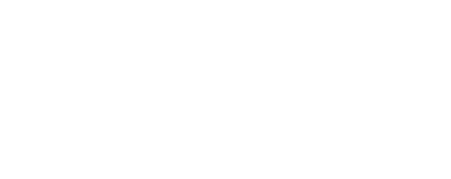 Metro Kingdom METRO KINGDOM New Donk City